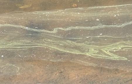 Pale green streaks across the water surface