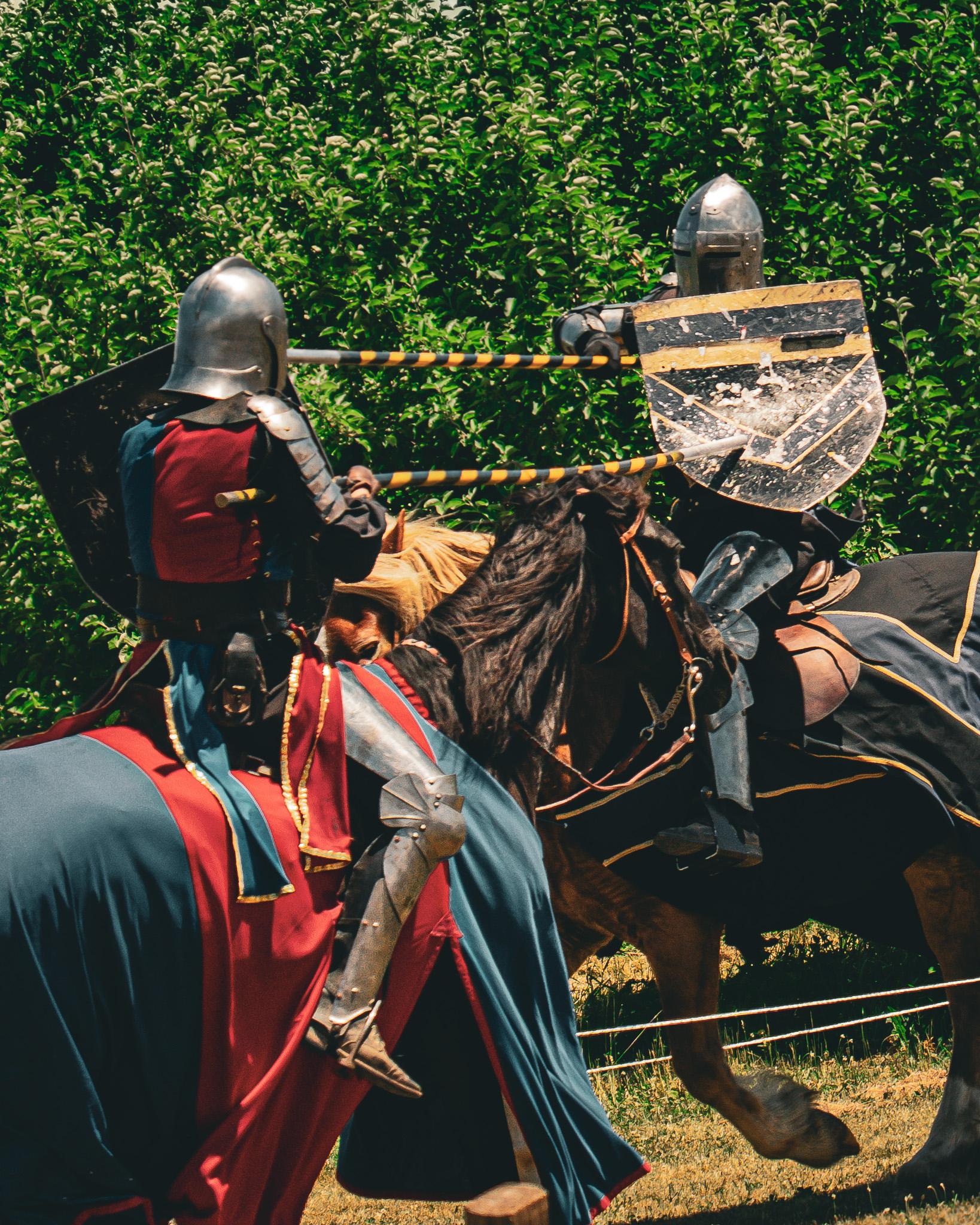 Joust field