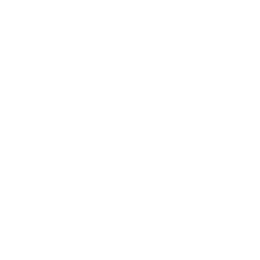 step icon