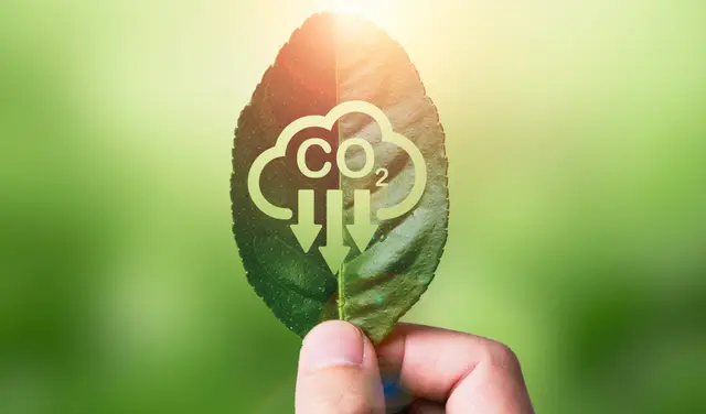 Every Day Climate Correction: 7 Days - 7 Habits