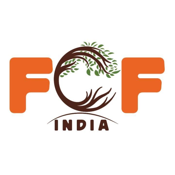 Fitsol logo