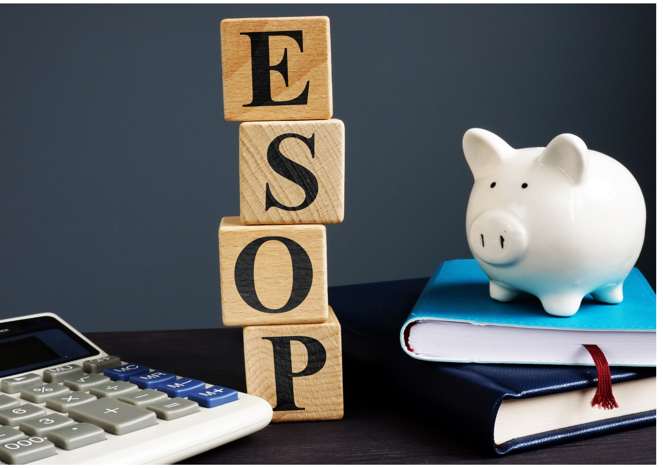 ESOP Valuation<br />