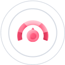 <p>PageSpeed Score</p>