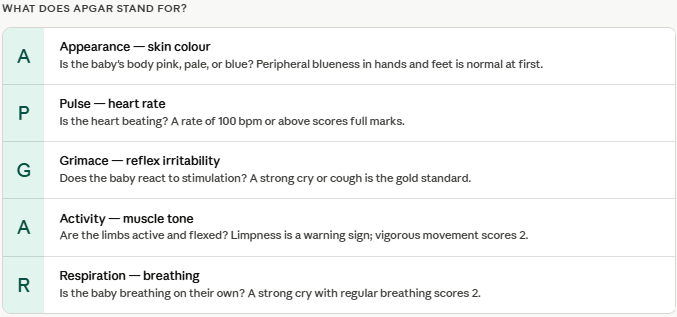 Apgar Score Meaning