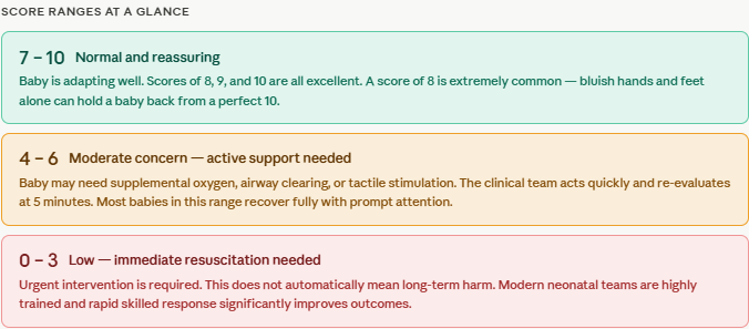 Apgar Score Range