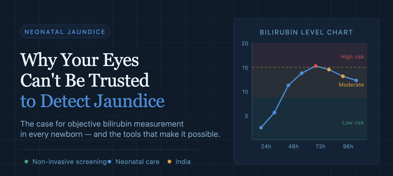 jaundice in the newborn