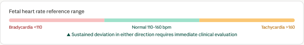 Fetal heart rate