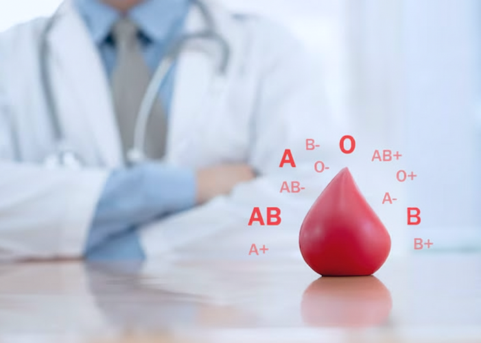 Service 24 illustration