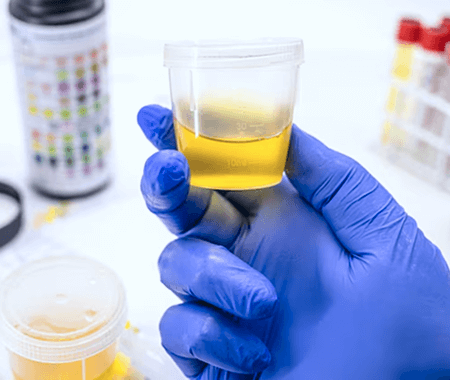 Service 7 illustration