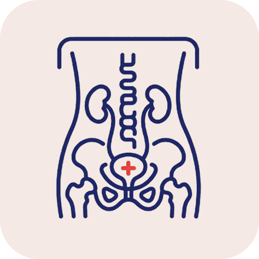 X-Ray KUB