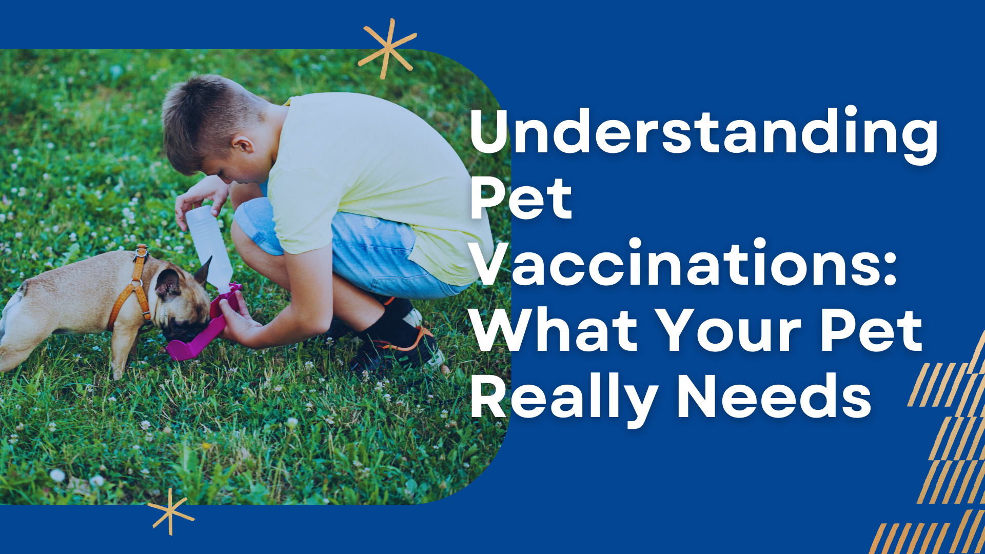 Understanding Pet Vaccinations: What Your Pet Really Needs